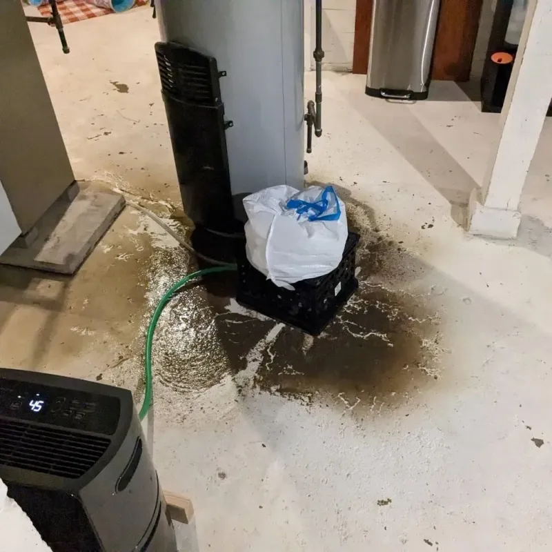Sewage Backup Cleanup Service in Indianola, MS